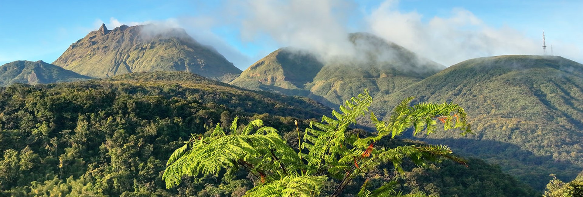 Tree covered peaks of Soufriere Volcano in Guadeloupe