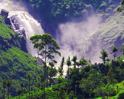Waterfall In Rainforest Sri Lanka
