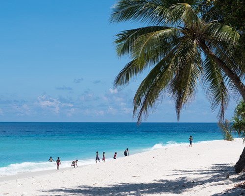 A white sands beach with a palm tree on the right