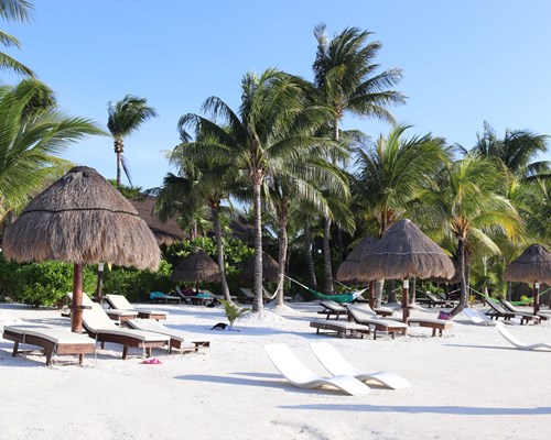 Sun beds and straw parasols dotted along a tropical white sand beach with palms in background