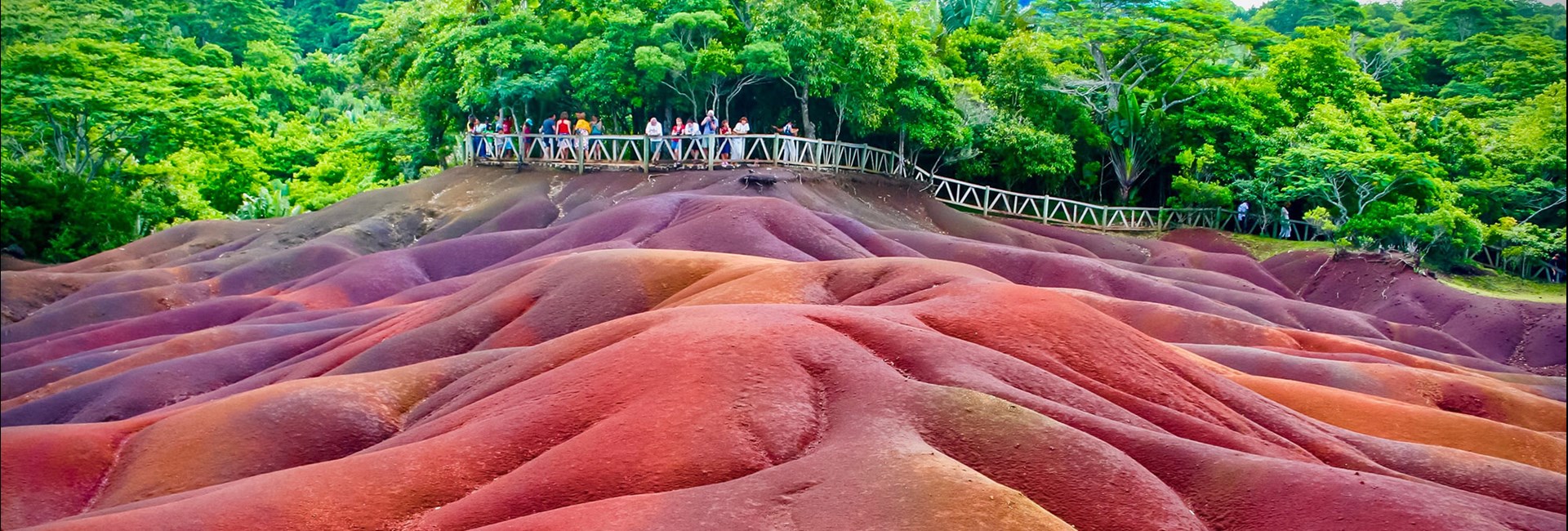 Multi-coloured hills of soil next to a rainforest 