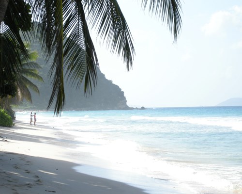 Couple alone on beach with hanging palm tree and mountain in background - Long Bay, Tortola 