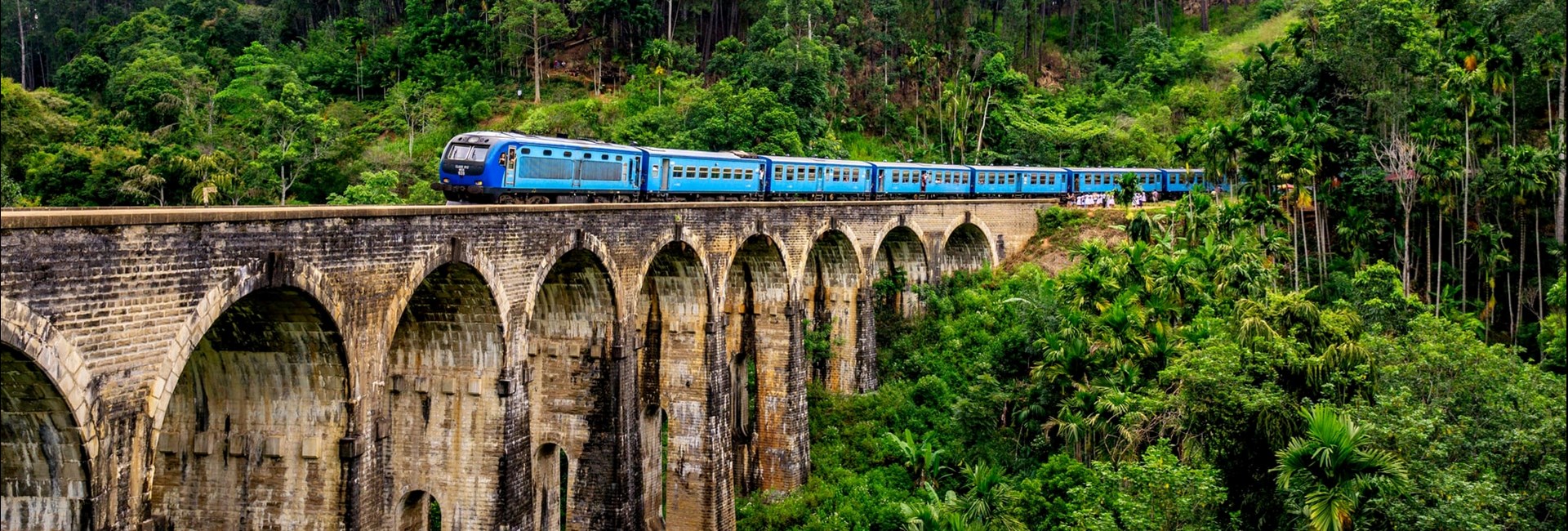 Blue train moving over a tall stone ridge through a rainforest 