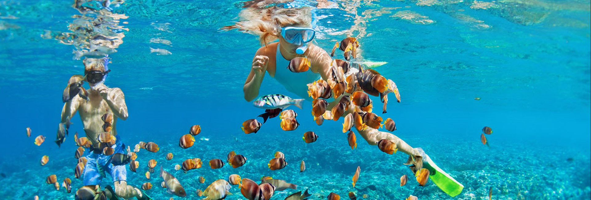 Woman and man snorkelling with colourful fish in tropical water