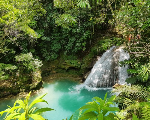 Bright turquoise pool of water in the middle of a jungle