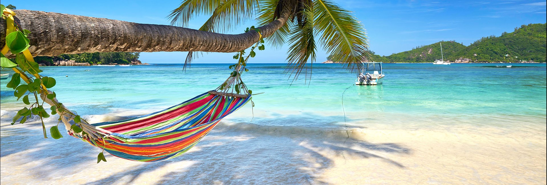 Colourful hammock hanging from a palm tree on a white beach