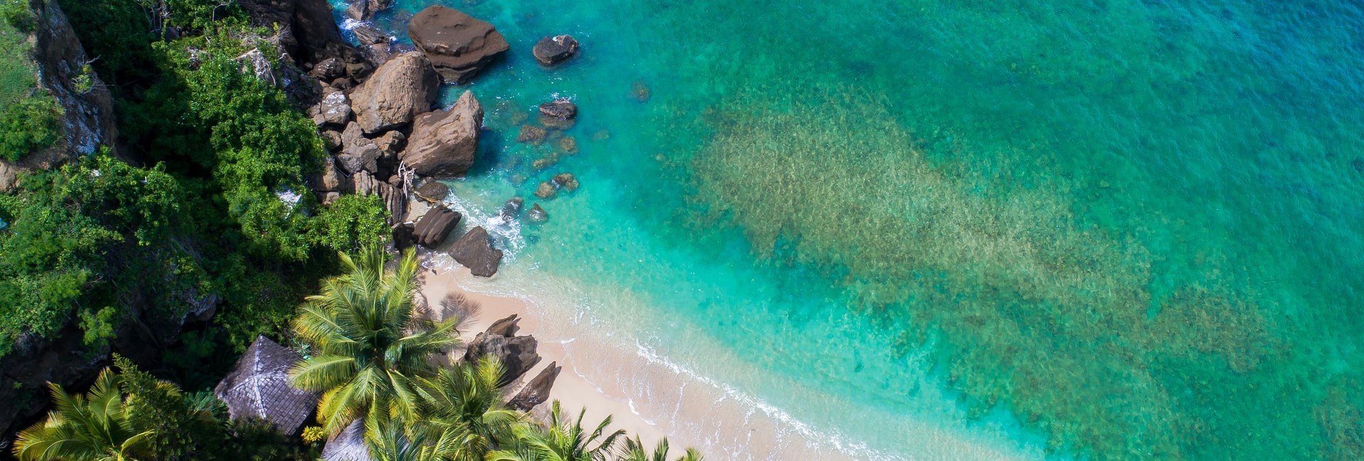 Aerial view of a small tropical beach with palm trees in Grenada
