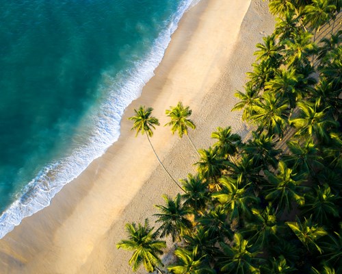 Aerial view of small waves crashing on a tropical golden sand beach 