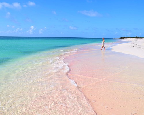Lady walking along pink sand tropical beach in Barbuda