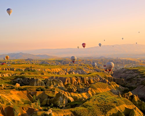 Multiple hot air balloons flying over the countryside at sunset