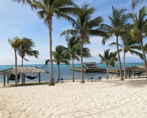 Palm trees swaing on white sand with beach huts - Sandy Point, Little Cayman 