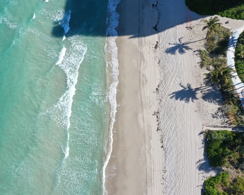 Aerial photo of a beach in Florida with foliage on the right