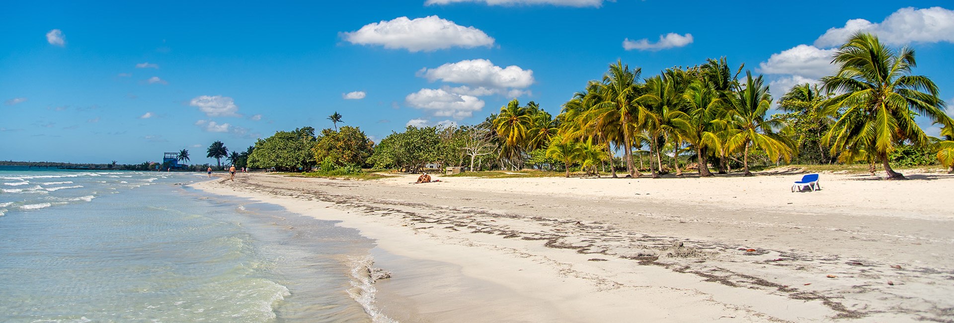 Natural tropical white sand beach lined with a forest of palm trees