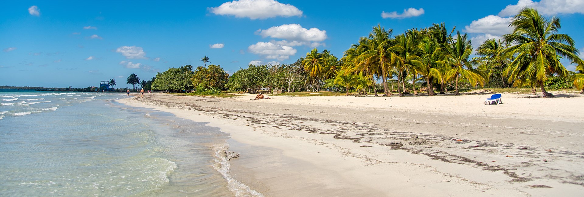 Natural tropical white sand beach lined with a forest of palm trees