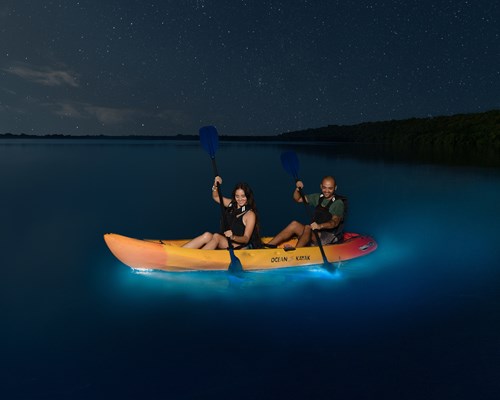 Couple kayaking across sparkling bioluminescent waves