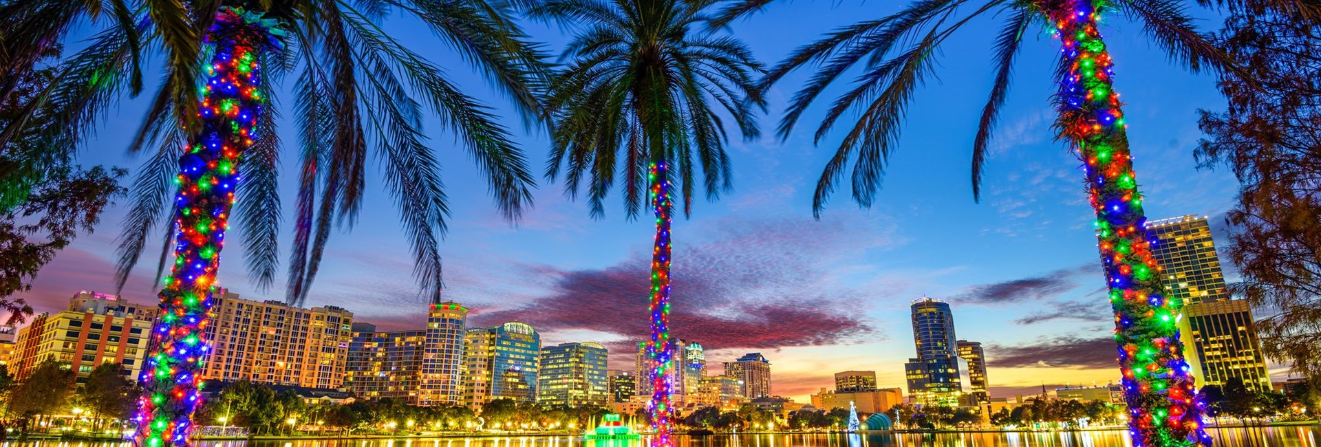 Orlando night time cityscape with colourful fairy lights wrapped around palm trees