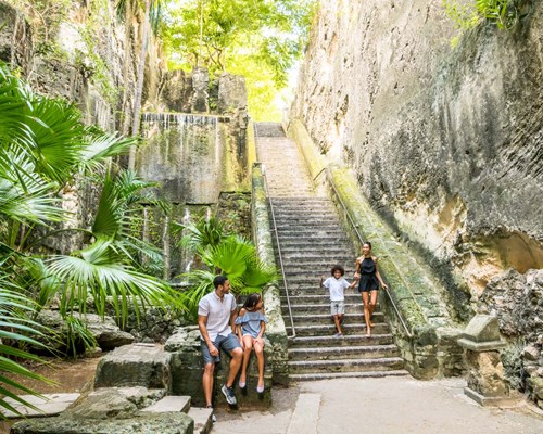A family walking down a large stone staircase in the jungle