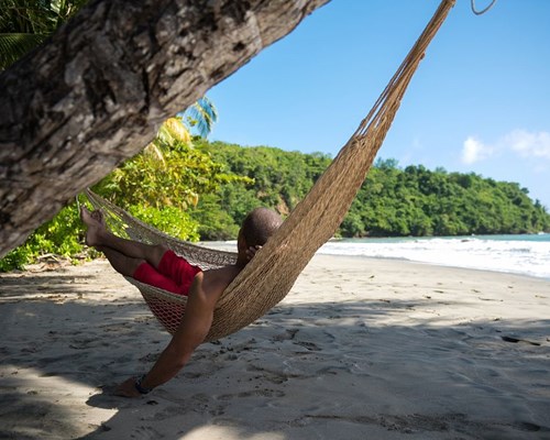Man relaxing in a hammock hanging from a large palm tree on a tropical beach