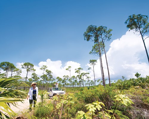 Older couple on jeep safari tour through a National Park in Bahamas