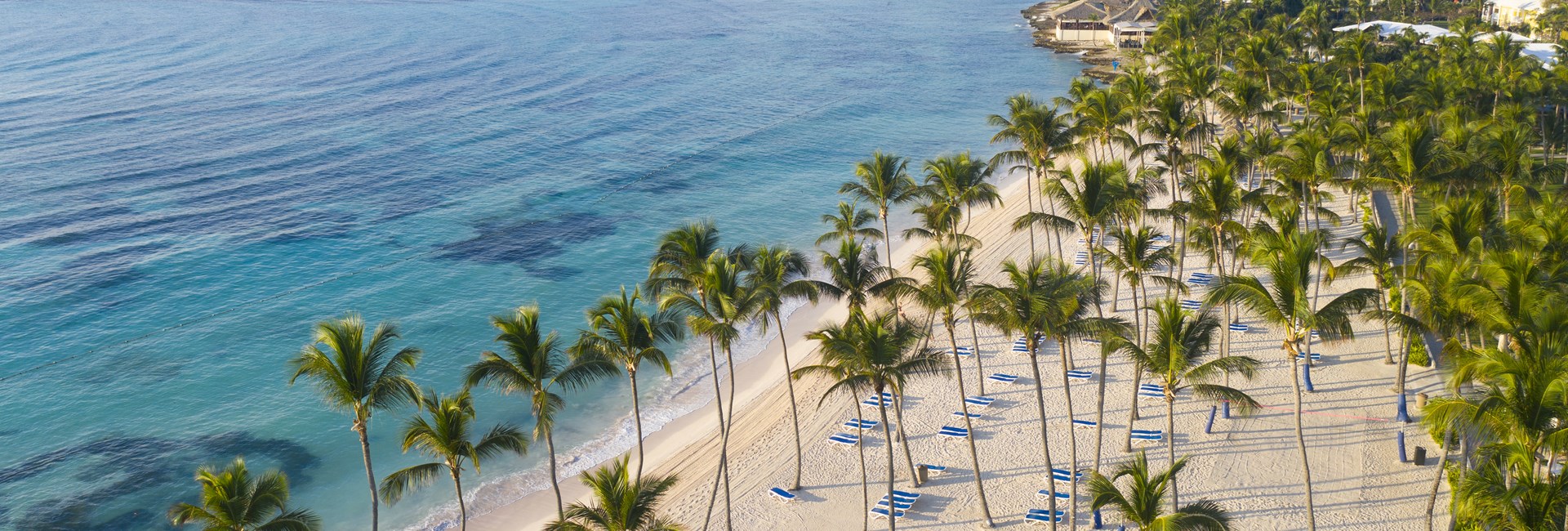 Aerial view of a tropical white sand beach dotted with palm trees