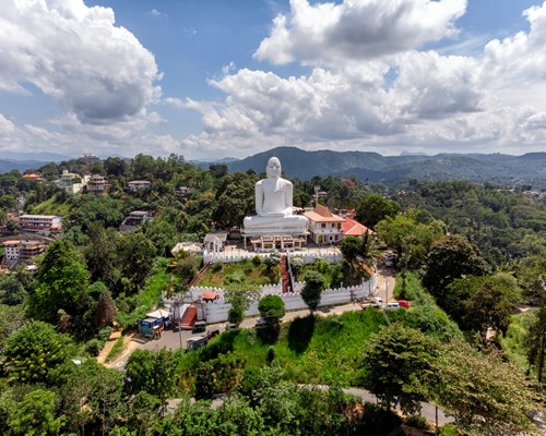 Large white Buddha  statue on a tree covered hill 
