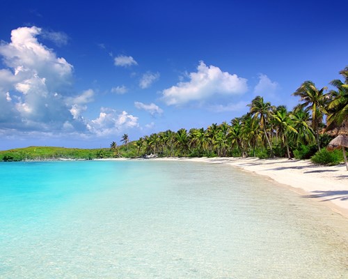 Narrow white sand beach lined with tall palm trees and lapped by shallow turquoise sea