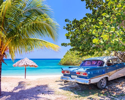  Vintage American blue car parked next to a palm tree on a white sand beach 
