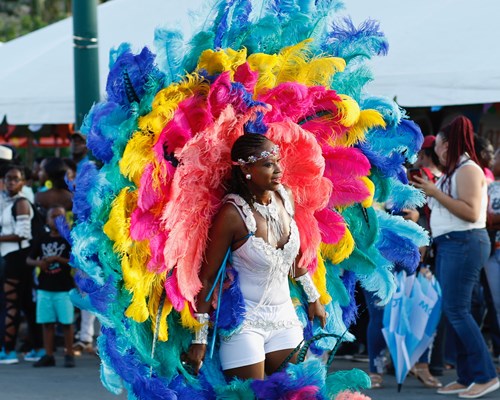 Woman dresses in colourful carnival outfit 