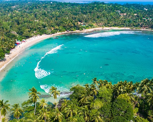 Aerial view of curved golden sand beach surrounded by tropical trees 