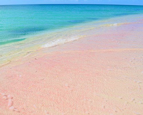 Pink sand beach and calm turquoise sea
