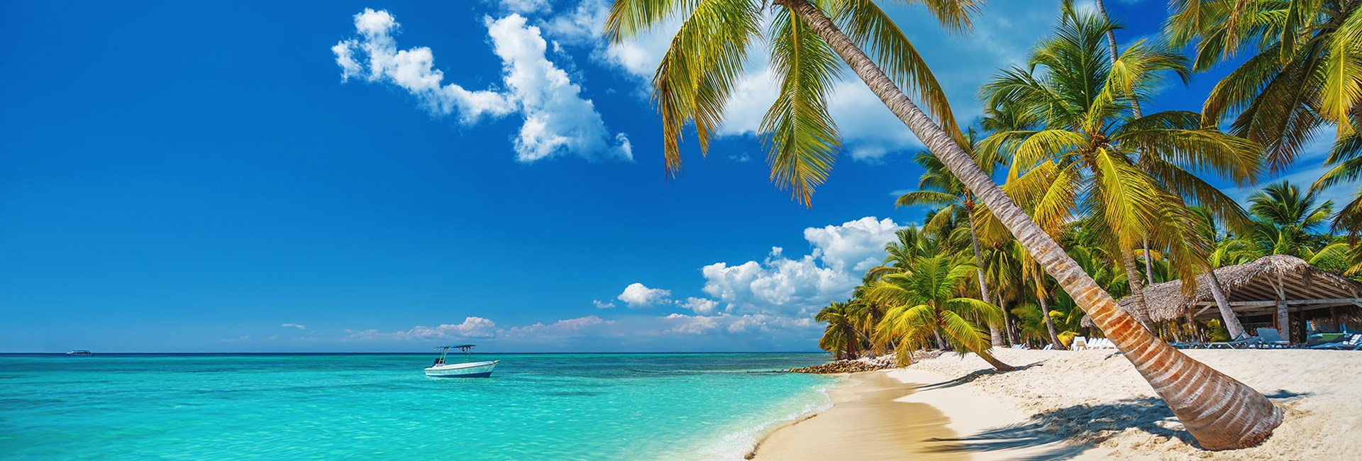 Beautiful tropical beach with azure sea, white sand, palms and blue skies