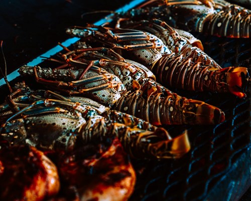 Red lobsters on a grill 