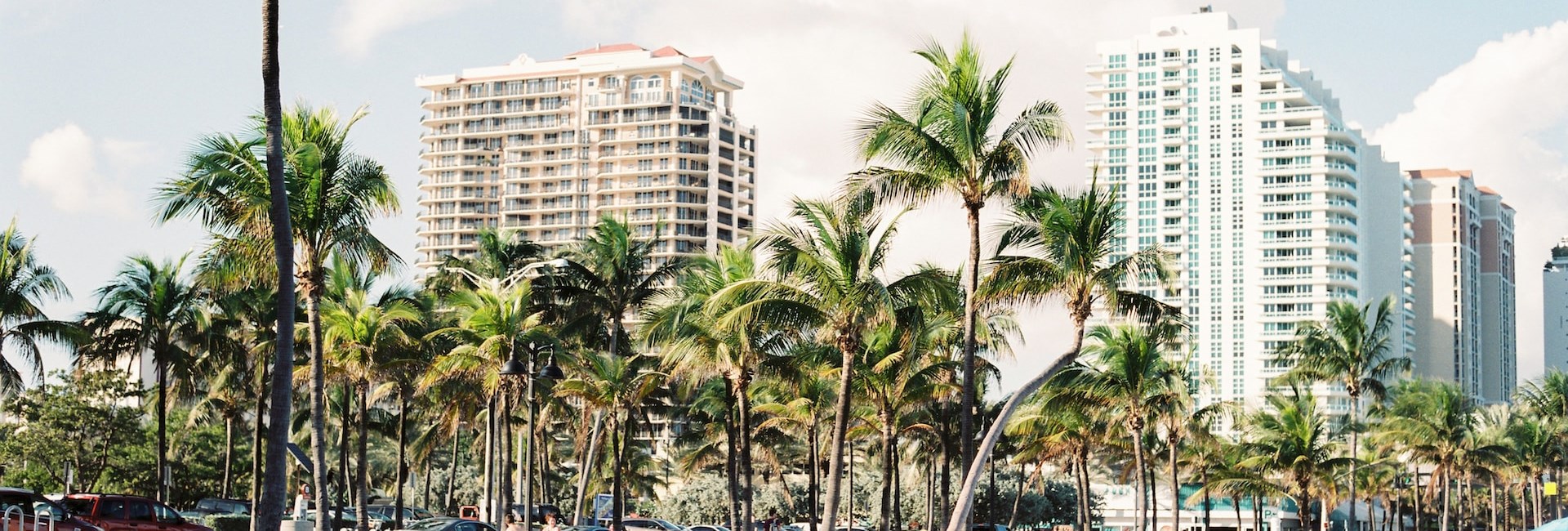 Tall palm trees on the beach with hotel buildings in the background