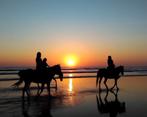 People horse riding along the beach at sunset