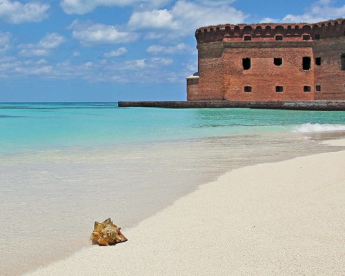 Aa beach at Dry Tortugas National Park