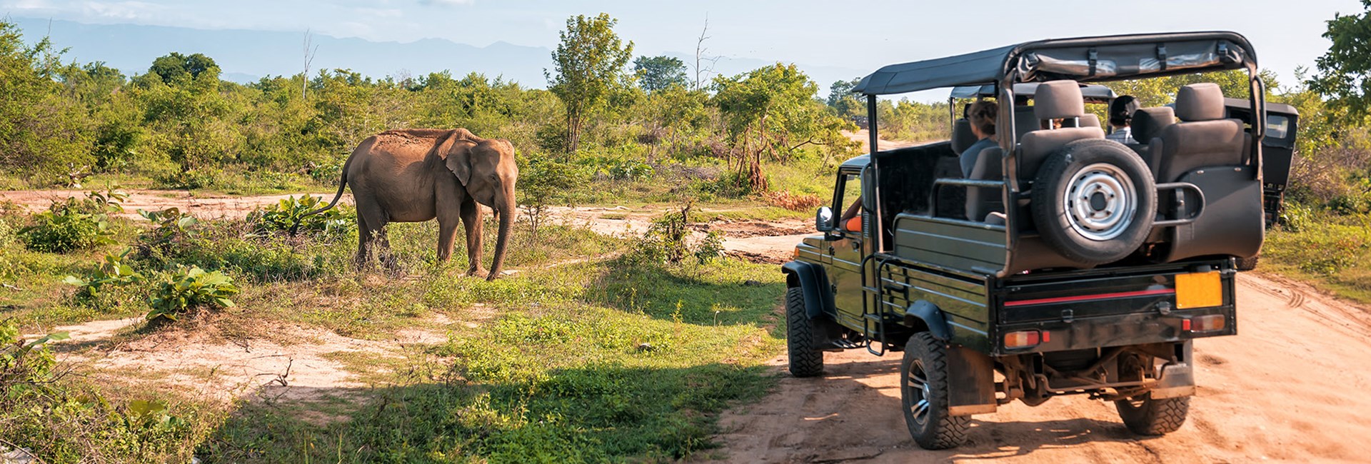 Safari jeep next to a small elephant in a grassy field