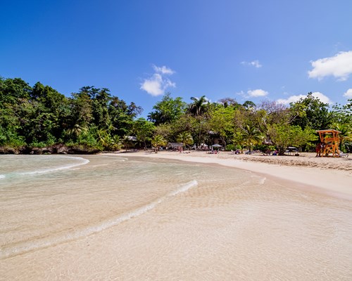 Small tropical beach with white sand and backed with green trees
