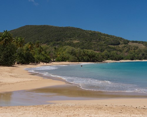 Golden sand tropical beach with forest-clad mountains in the background