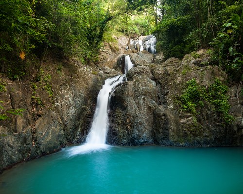 Small waterfall flowing into a blue pool of water in a forest