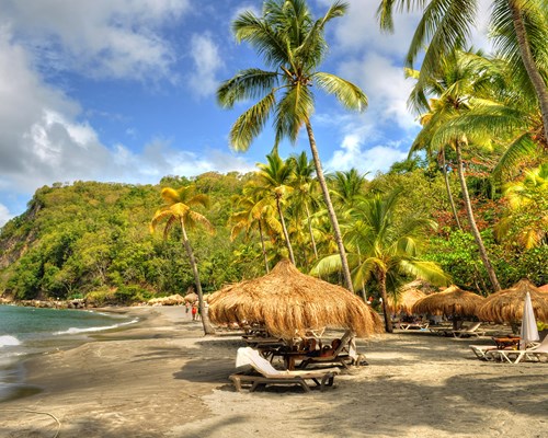 Caribbean beach with dark sand and straw umbrellas and sun loungers for guests