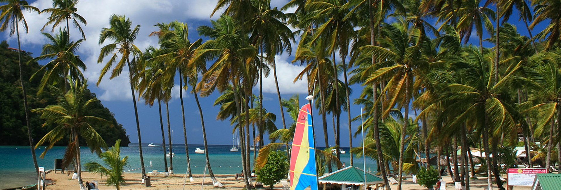 Boats and kayaks lined up on a tropical beach with tall palm trees