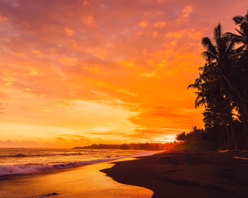 sunset behind silhouetted palms on Keramas beach Bali