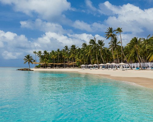 Sun beds and day beds lined up along a pristine white sand beach lined with palm trees