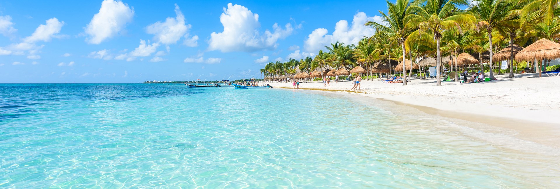 Palm trees behind a white sand tropical beach with a crystal clear blue sea