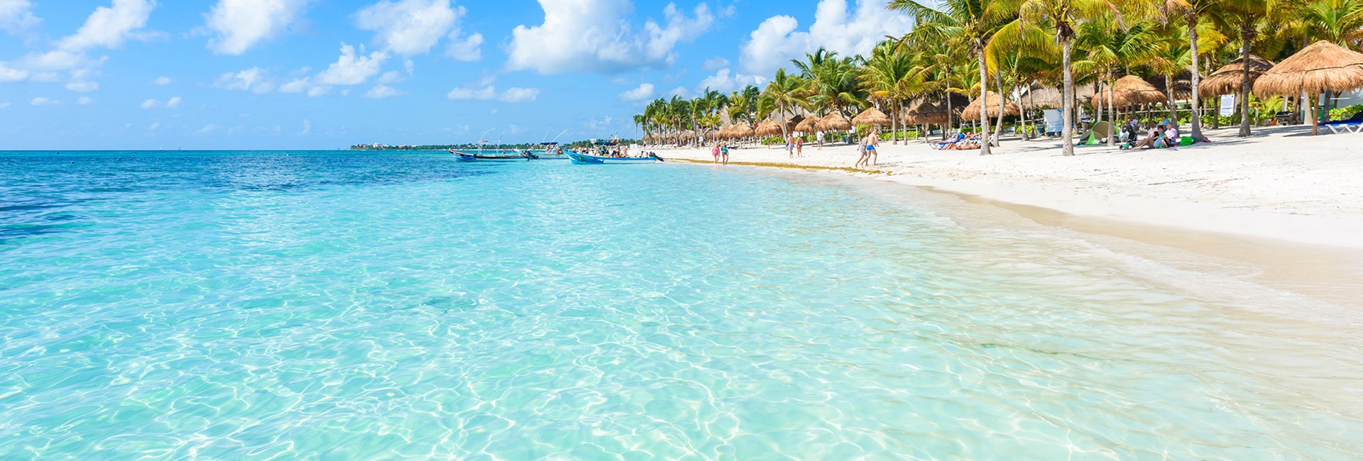 Tall palm trees and sun umbrellas lines up along the coast of a beautiful tropical beach