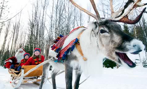 day trips to lapland from leeds bradford airport